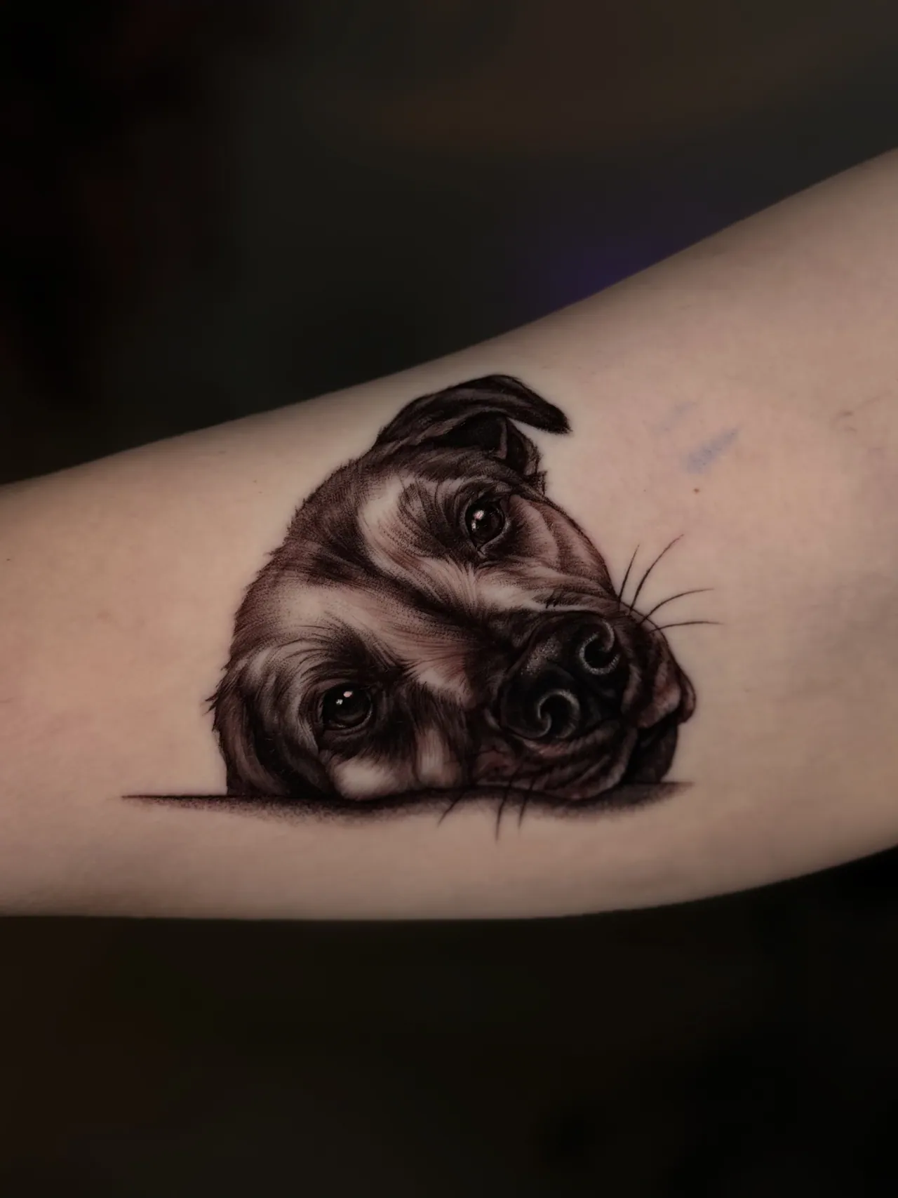 Black & Grey Realism tattoo by Cydney