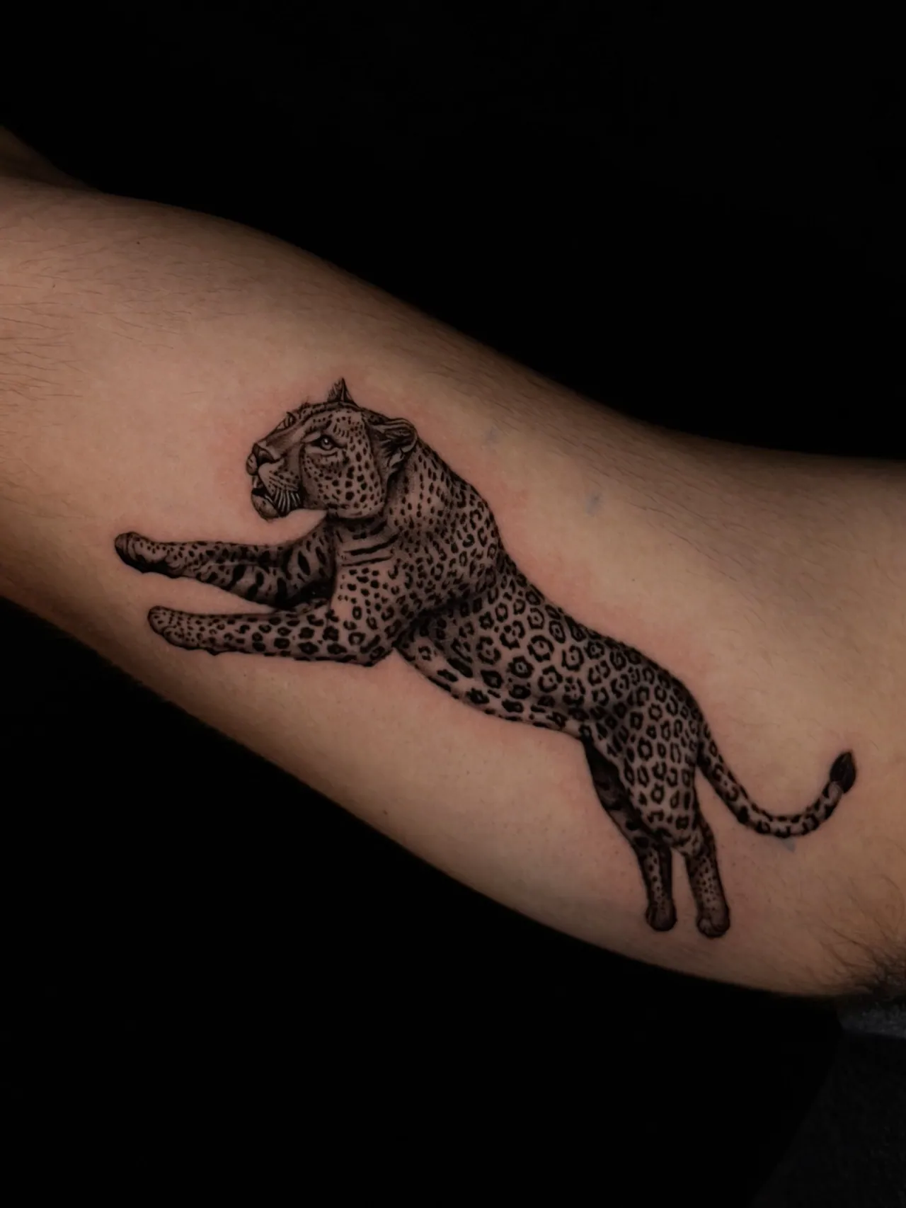 Black & Grey Realism tattoo by Cydney
