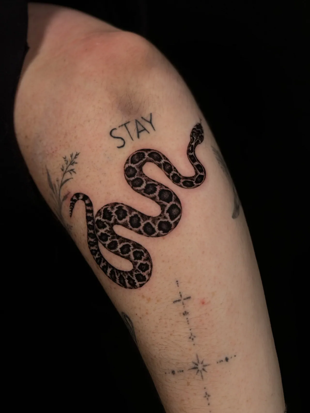 Blackwork tattoo by Cydney