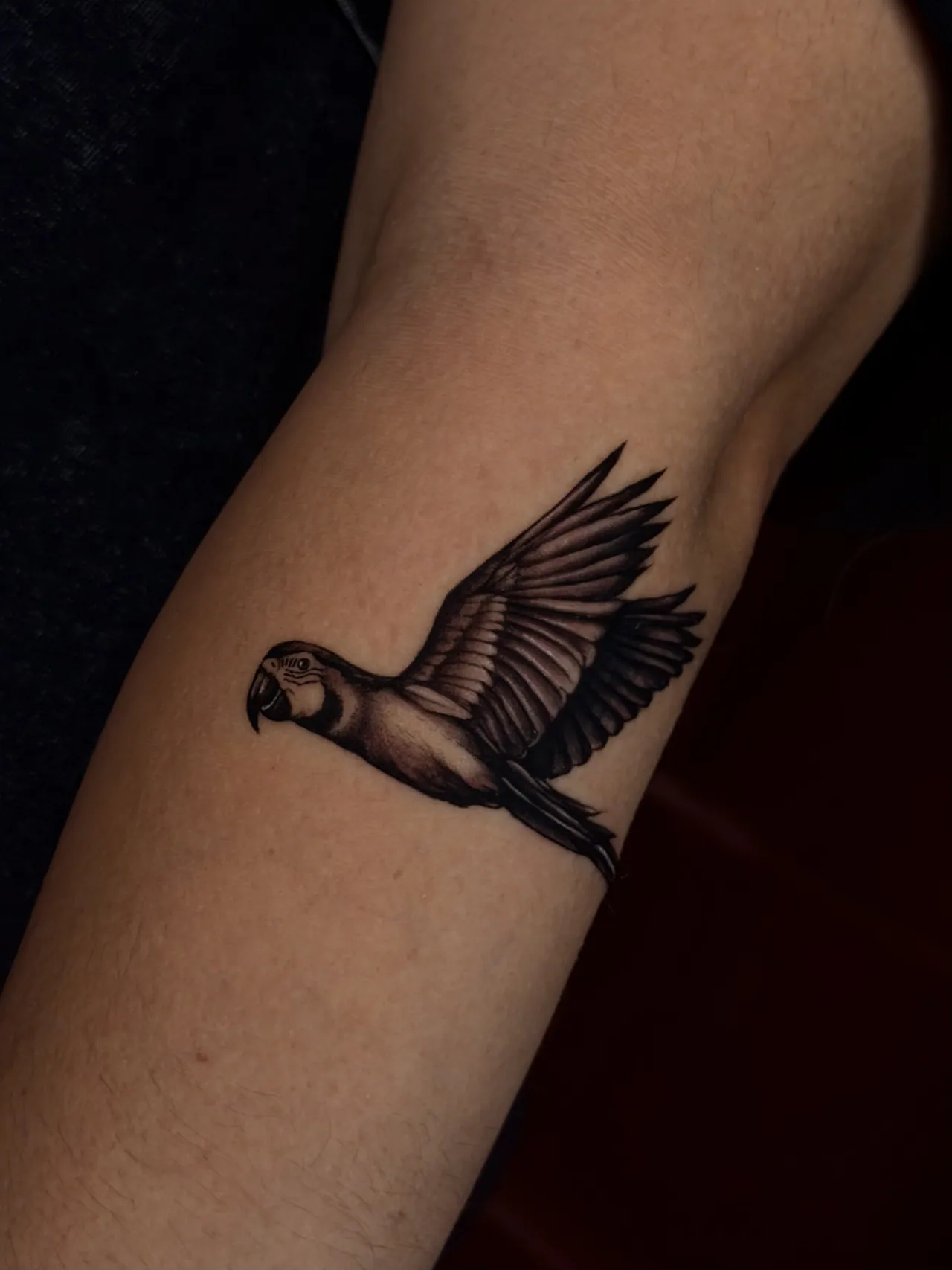 Black & Grey Realism tattoo by Cydney
