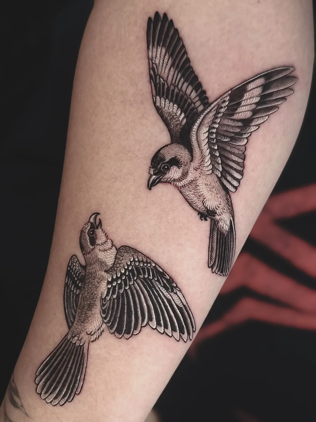 Blackwork tattoo by Daren