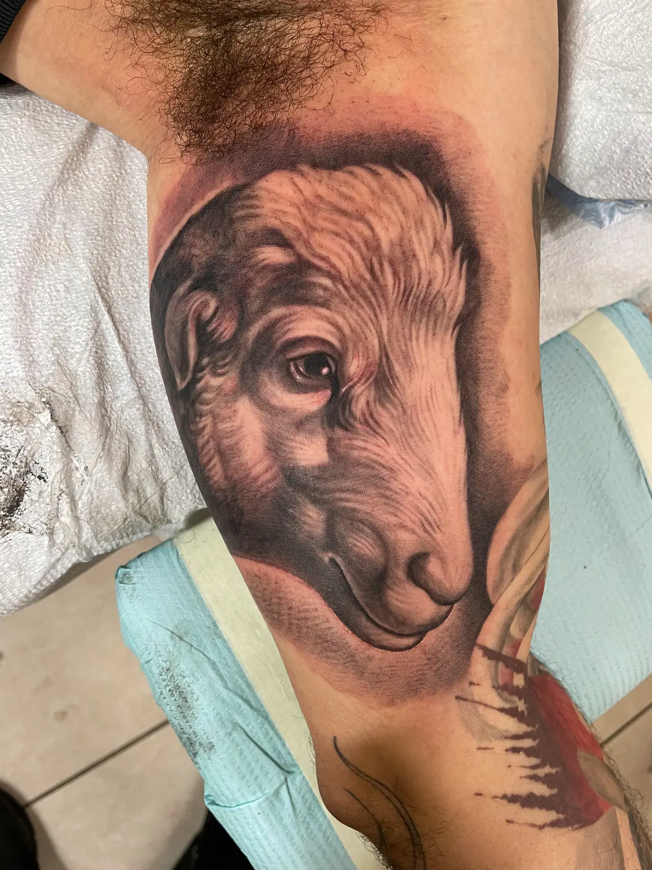 Black & Grey Realism tattoo by Pierre